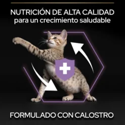 Pro Plan Kitten Pollo pienso para gatos
