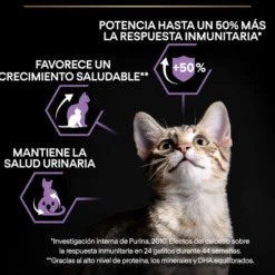 Pro Plan Kitten Pollo pienso para gatos