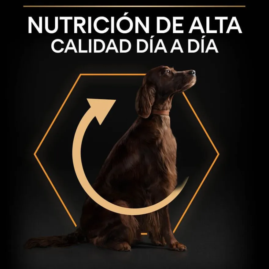Pro Plan Large Athletic Adult Pollo pienso para perros