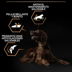Pro Plan Large Athletic Adult Pollo pienso para perros