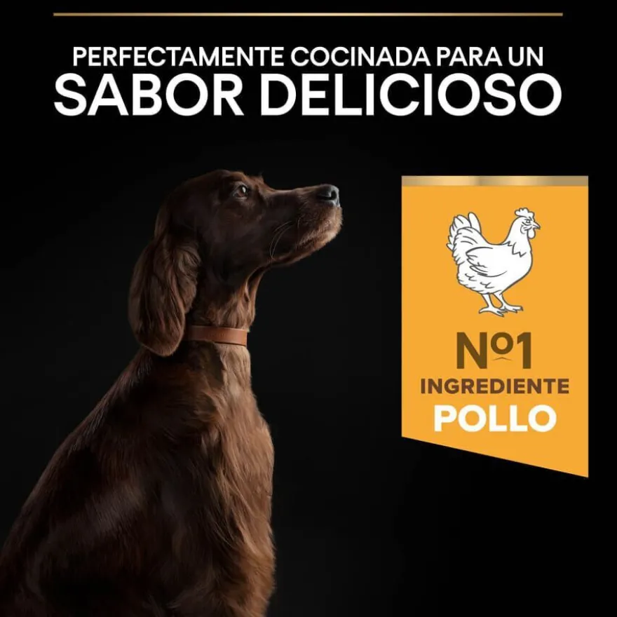 Pro Plan Large Athletic Adult Pollo pienso para perros