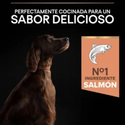 Pro Plan Large Athletic Adult Salmón piel sensible pienso para perros