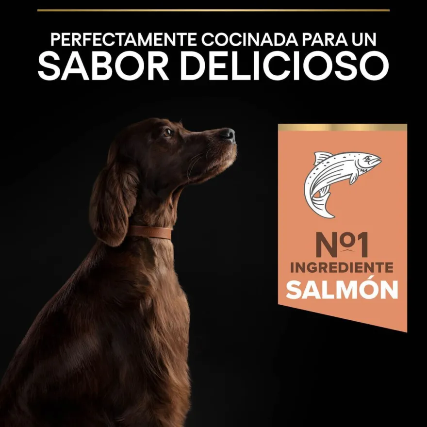 Pro Plan Large Athletic Adult Salmón piel sensible pienso para perros
