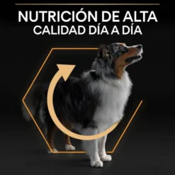Pro Plan Medium Adult Pollo pienso para perros