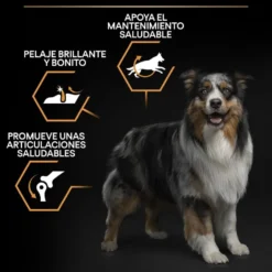 Pro Plan Medium Adult Pollo pienso para perros
