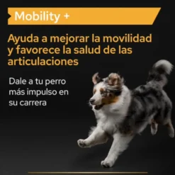 Pro Plan Mobility+ Suplemento para perros