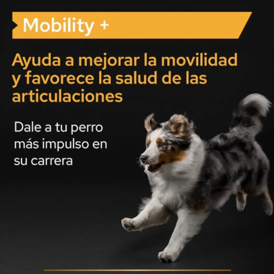 Pro Plan Mobility+ Suplemento para perros