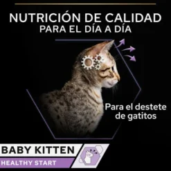 Pro Plan Mousse Baby Kitten Pollo Lata para gatos