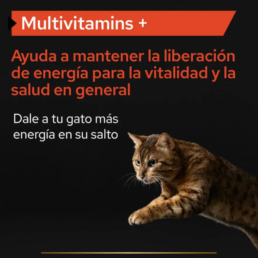 Pro Plan Multivitamins + para gatos