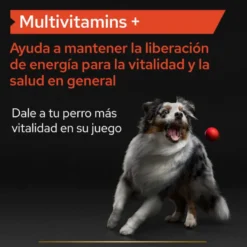 Pro Plan Multivitamin Suplemento para perros