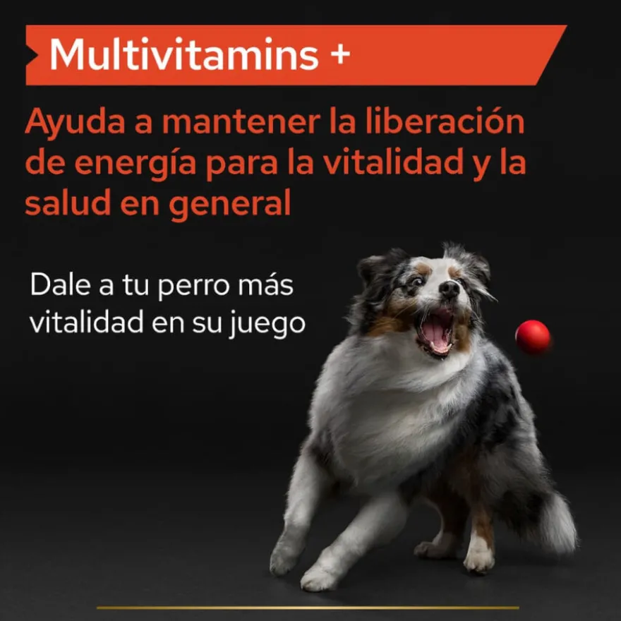 Pro Plan Multivitamin Suplemento para perros