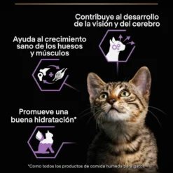 Pro Plan NutriSavour Feline Kitten Pavo en salsa sobre para gatos