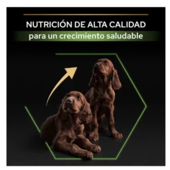 Pro Plan Puppy Large Athletic Pollo pienso para perros