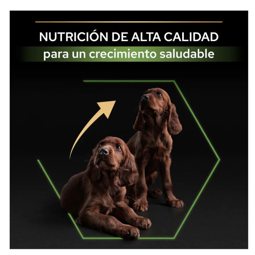 Pro Plan Puppy Large Athletic Pollo pienso para perros