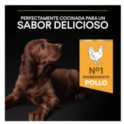 Pro Plan Puppy Large Athletic Pollo pienso para perros