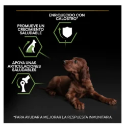 Pro Plan Puppy Large Athletic Pollo pienso para perros