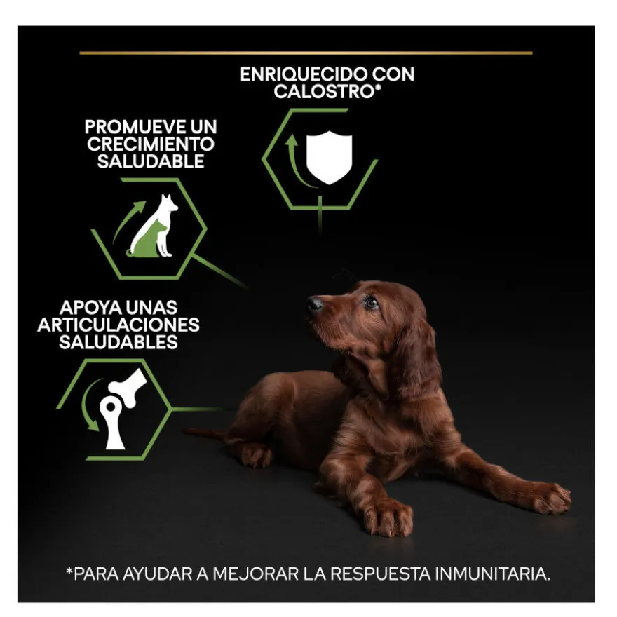 Pro Plan Puppy Large Athletic Pollo pienso para perros