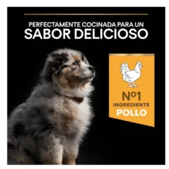 Pro Plan Puppy Medium Pollo pienso para perros