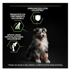 Pro Plan Puppy Medium Pollo pienso para perros