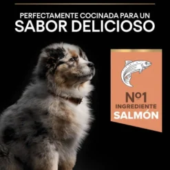 Pro Plan Puppy Medium Salmón Piel sensible pienso para perros