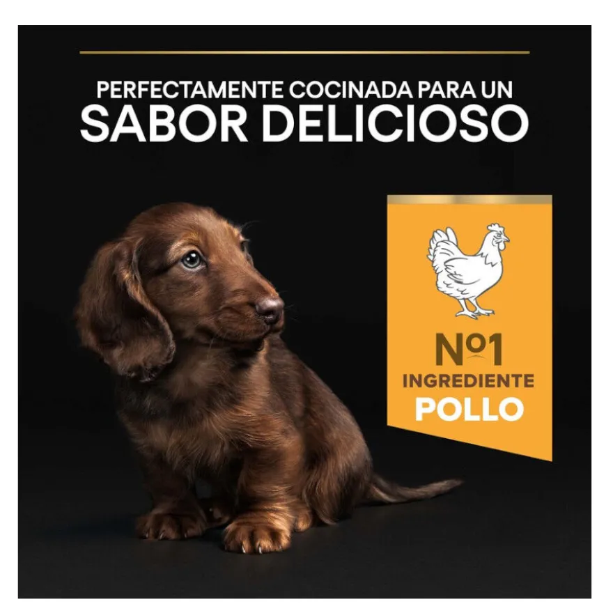 Pro Plan Puppy Small y Mini Pollo pienso para perros