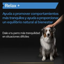 Pro Plan Relax + Suplemento en Aceite para perros
