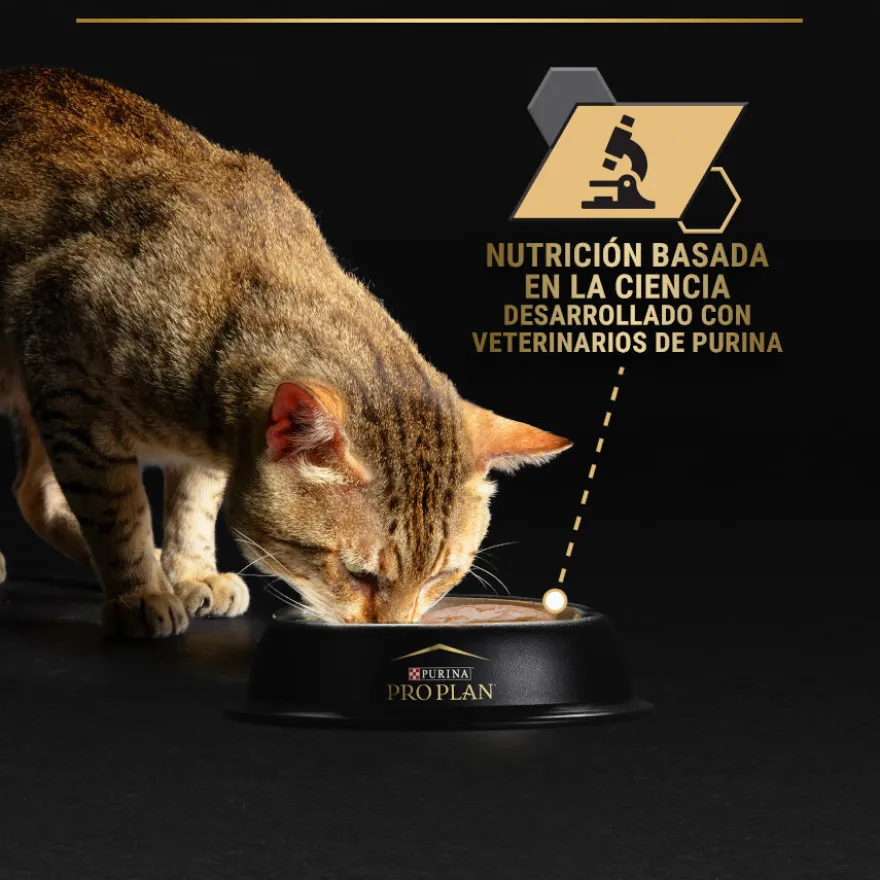 Pro Plan Senior 7+ LONGEVIS Mousse con atún para gatos