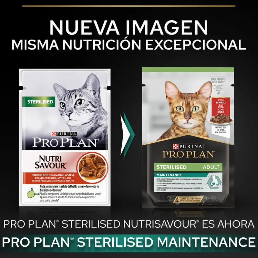 Pro Plan Sterilised Maintenance sobre con Buey en salsa para gatos