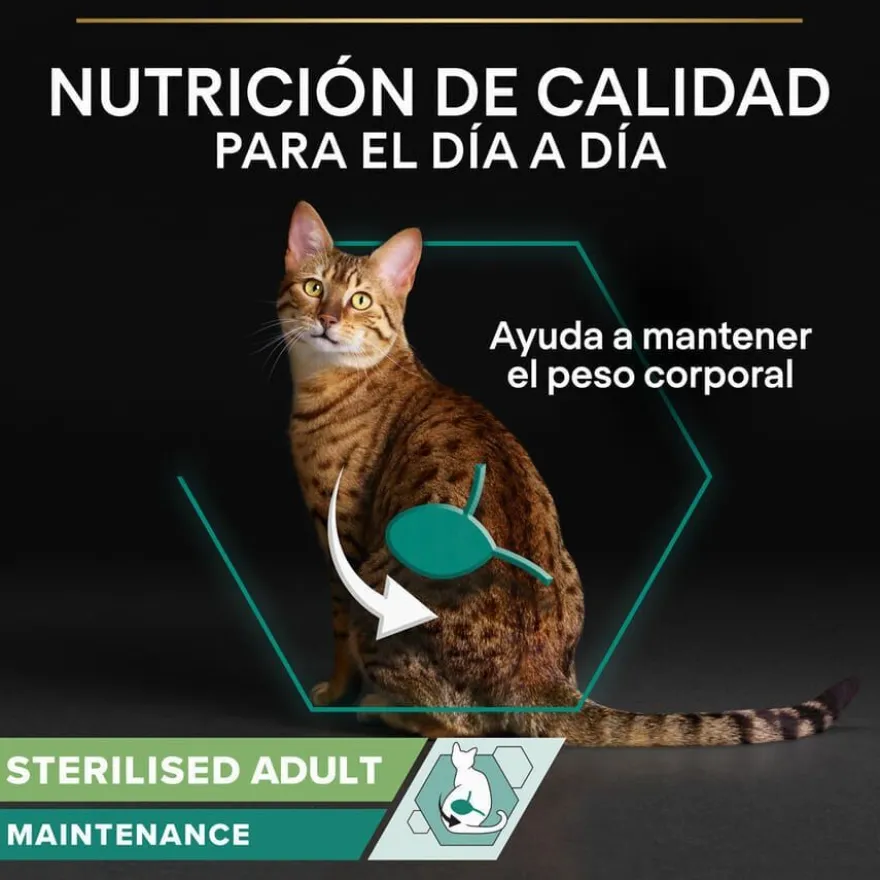 Pro Plan Sterilised Maintenance sobre con Buey en salsa para gatos