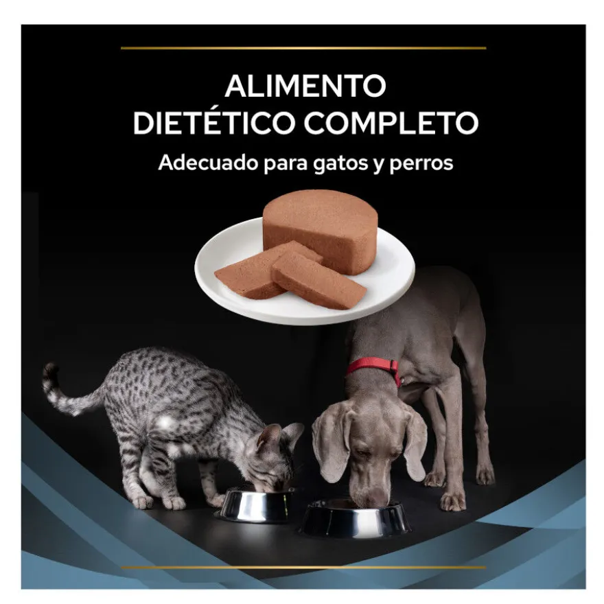 Pro Plan Veterinary Diets Convalescence latas para perros y gatos