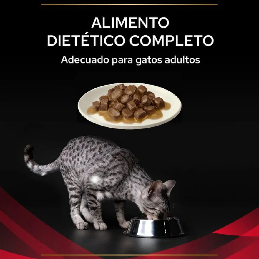 Pro Plan Veterinary Diets Diabetes DM sobres para gatos