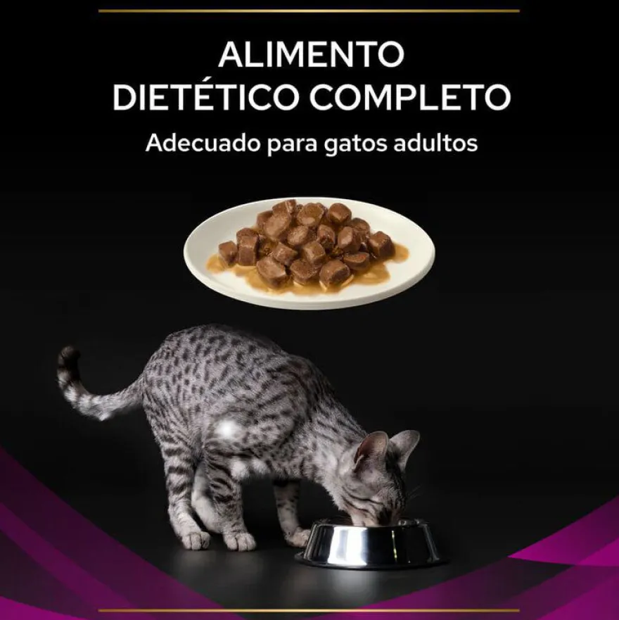 Pro Plan Veterinary Diets Feline UR Salmón x 85 g