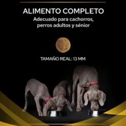 Pro Plan Veterinary Diets Joint Mobility pienso para perros
