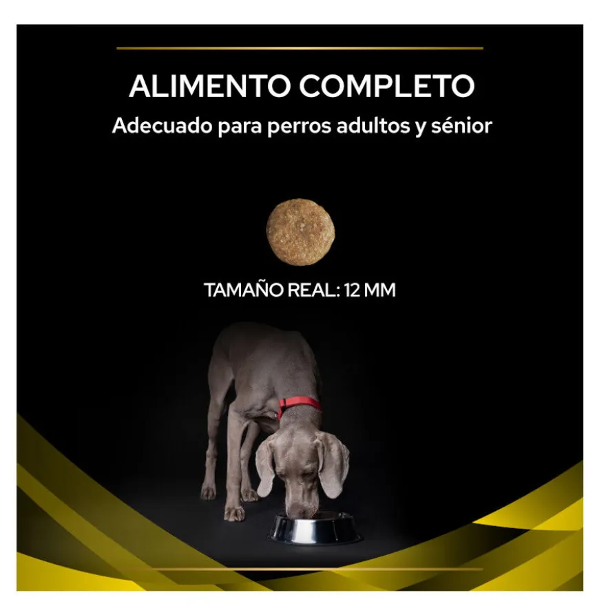 Pro Plan Veterinary Diets NC Neurocare pienso para perros