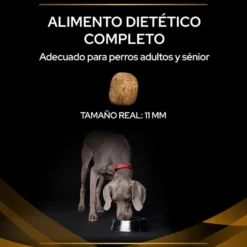 Pro Plan Veterinary Diets Renal pienso para perros