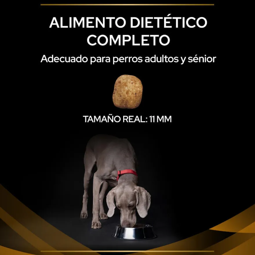 Pro Plan Veterinary Diets Renal pienso para perros