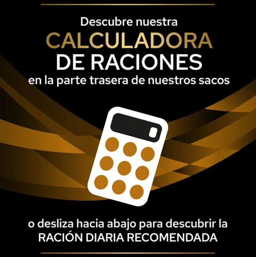 Pro Plan Veterinary Diets Renal Function salmón sobre para gatos