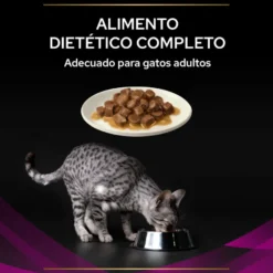Pro Plan Veterinary Diets St/Ox Urinary Pollo en Salsa sobre para gatos – Multipack