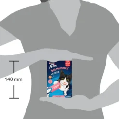 Purina Felix Deli Moments con Salmón Snack líquido para gatos