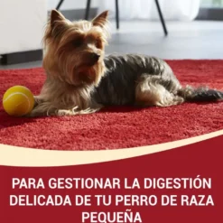 Purina One Adult Mini Bifensis Sensitive Salmón y Arroz pienso para perros