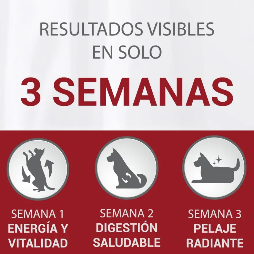 Purina One Adult Mini Weight Control Sterilised Pavo y Arroz pienso para perros