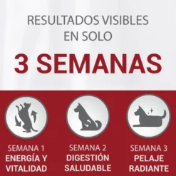 Purina One Junior Bifensis Pollo pienso para perros