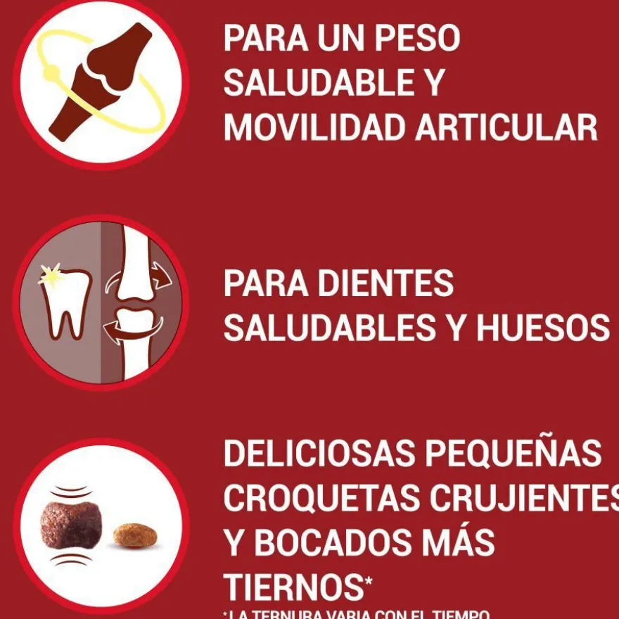 Purina One Senior 8+ Mini pienso para perros