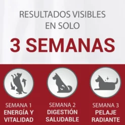 Purina One Senior 8+ Mini pienso para perros
