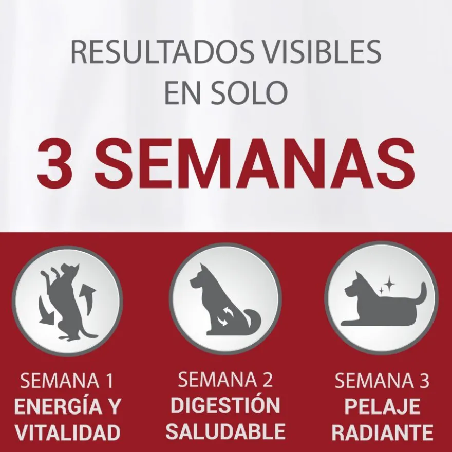 Purina One Senior 8+ Mini pienso para perros