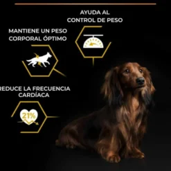 Purina Pro Plan Adult Light Esterilizado Pienso Pollo para perros