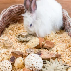 Quapas Nibble Caja Regalo Estrellas y Balones Juguete para roedores