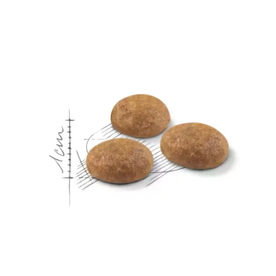 Royal Canin Active Life Outdoor pienso para gatos