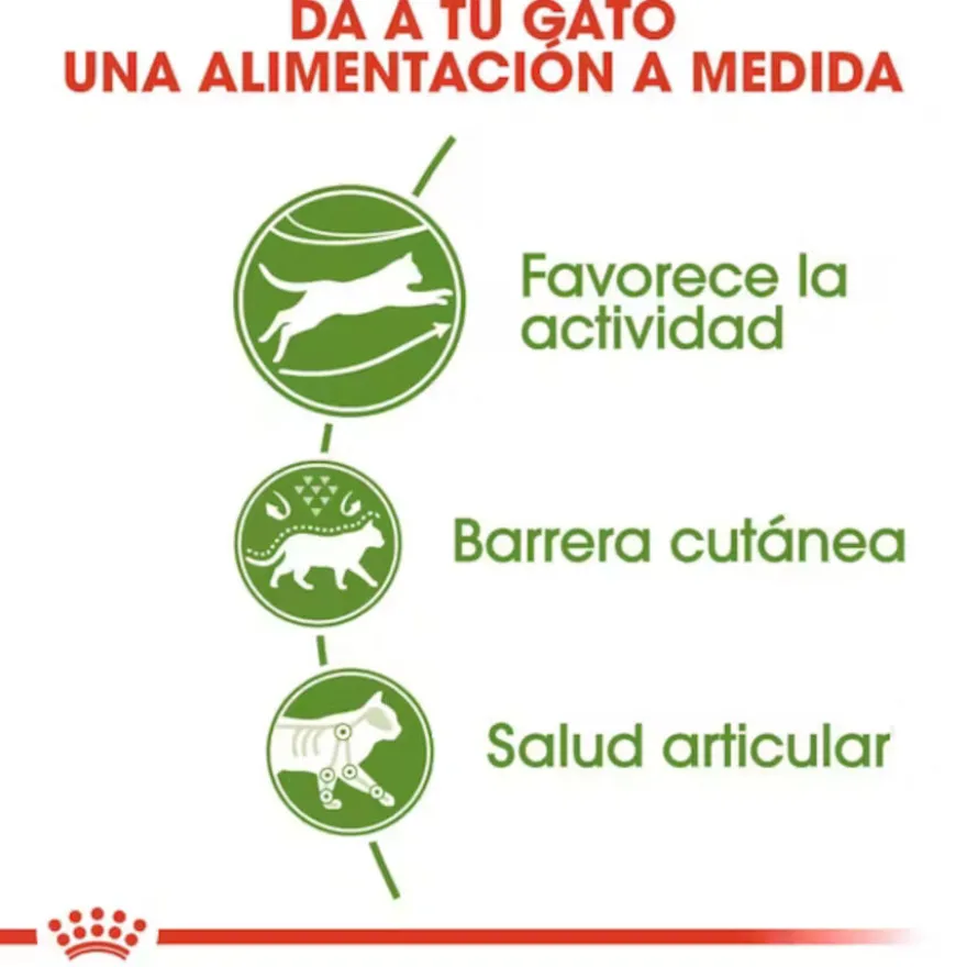 Royal Canin Active Life Outdoor pienso para gatos