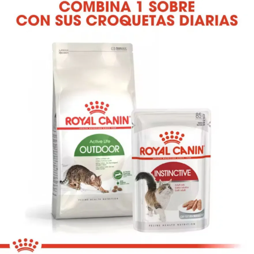 Royal Canin Active Life Outdoor pienso para gatos